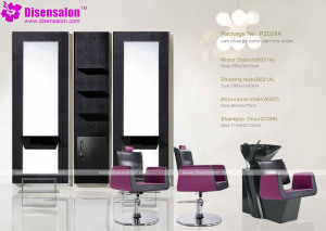 Popular High Quality Salon Furniture Shampoo Barber Salon Chair (P2028A)