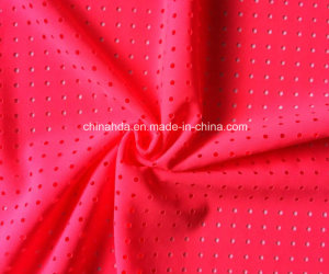 Swimwear Fabric with Mesh (HD1401009)